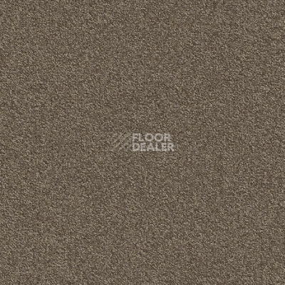 Ковровая плитка Modulyss Millennium Nxtgen Millennium Nxtgen 140 фото 1 | FLOORDEALER